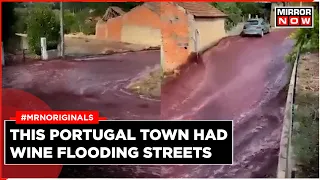 Portugal Wine River | Over 2 Million Litres Of Wine Flow Down The Streets In Portugal | Viral Video