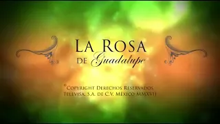 Nomofobia adiccion al celular la rosa de guadalupe (1/2)