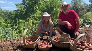 Abundant Harvest in our Wildlife Friendly Garden in Portugal