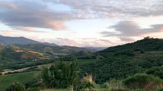 How WINE is Made at a TUSCAN VINEYARD (Brunello di Montalcino)