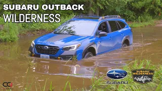Обзор Subaru Outback Wilderness | Универсал, который доминирует на бездорожье!