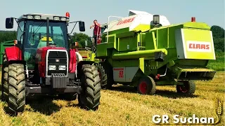 Żniwa 2O18 z Nowym Nabytkiem w GR Suchan! | Claas Dominator 88s/MF 6130 & 6170 | Burów Team