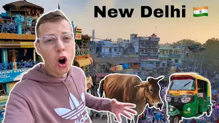 my first time in New Delhi India 🇮🇳 the most CHAOTIC￼ CITY in the ￼￼world !
