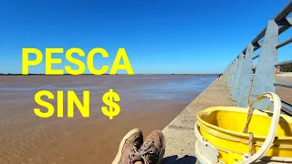 PESCA SIN DINERO, "CIRUJEANDO" Pesca urbana