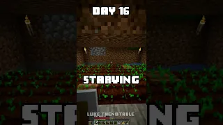 100 Days - [Minecraft Shorts] - Day 16 #minecraft #100days