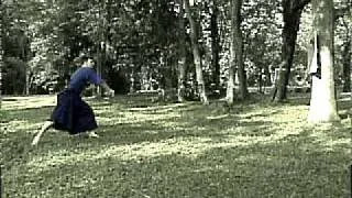 Ninjutsu  - Bujinkan Shisei Dojo ( Shidoshi Marcio )