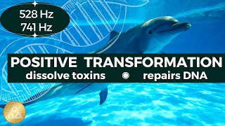 Cleanse Infections (528hz + 741hz) || Dissolve Toxins • Strengthen Immunsystem • Remove Negativity