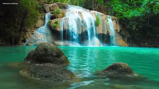 Relaxing Zen Music with Water Sounds • Peaceful Ambience for Spa, Yoga and Relaxation, Sleep Music