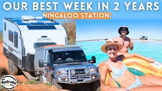 14 Days Beachfront Camping at South Lefroy Ningaloo Reef Part 2 | We swim with a Whale Shark! [EP52]