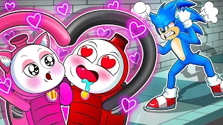 Who is The Best Girlfriend ? - Amy & Rouge #2 | Very Sad Story | Sonic The Hedgehog 2 Animation