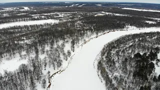 Вырубка дубравы во Владимире под трассу М12, весна 2021 г.