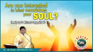 Are you interested in what nourishes your soul? Homily by Fr Michael Payyapilly VC | Divine Colombo