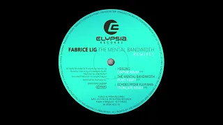 Fabrice Lig - The Mental Bandwidth  - Remixes