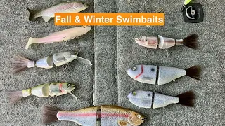 Unlocking the Potential of Swimbaits in Fall and Winter Bass Fishing
