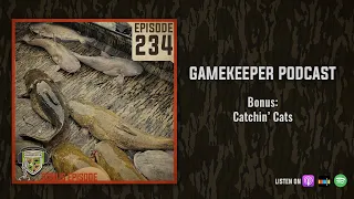 EP:234 | Bonus: Catchin’ Cats
