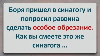 ✡️ Особое Обрезание! Анекдоты про Евреев! Выпуск #52