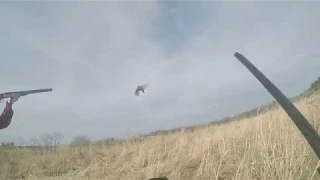 Upland Bird Hunt - Stocked Pheasant, Chuckar and Quail