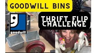 Goodwill Thrifting for a thrift challenge with Jami Ray Vintage!