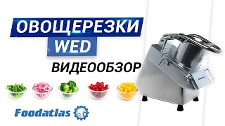 Овощерезка Foodatlas WED, измельчитель, куттер,  оборудование для столовой,  vegetable cutter