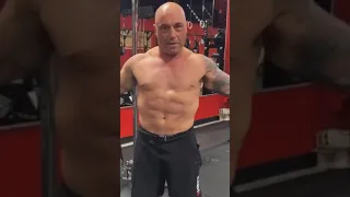 Joe Rogan Incredible Body Transformation