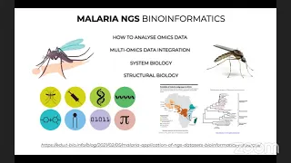 Webinar: Bioinformatics for Infectious Diseases Training & Research: Project presentations & Updates