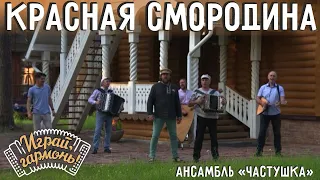 Красная смородина | Ансамбль Г. Заволокина «Частушка» | Играй, гармонь!