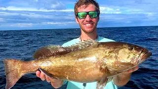 Early Season Shallow Water Gag Grouper Fishing  (Limited Out)