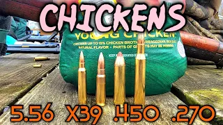 Centerfire Rifles vs Chickens .223 5.56 7.62x39 .270 Win .450BM