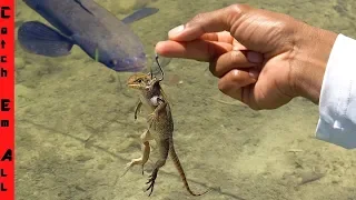FISHING with a LIZARD!