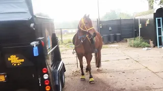 Geheime pony bij ons op stal tijdens mijn vakantie?! 😨🐴