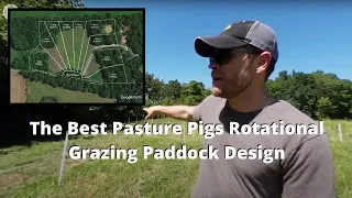 The BEST Pasture Pigs Rotational Grazing Paddock Design (360 Video VR)