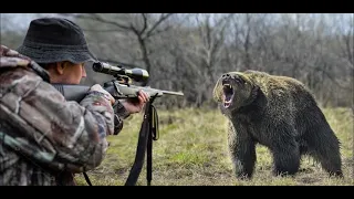 theHunter: Call of The Wild (охота на медведя с гладкоствольным оружием)