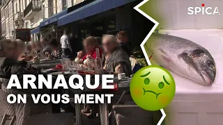 Une grande arnaque des poissons dans la restauration