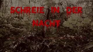 Schreie in der Nacht - Teaser