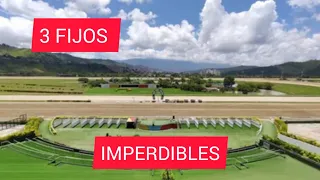 Datos Fijos para el Hipódromo La Rinconada... Domingo 18 de Febrero 2024