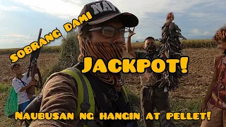 ep#10 Pest control. UBOS ang HANGIN ng tank at PELLET sa sobrang DAMI !!! ( SHOUTOUTS SA DULO)…