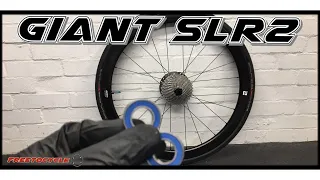 Giant SLR2 Rear Wheel Bearing Change