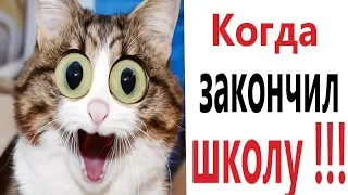 Лютые приколы. КОГДА ЗАКОНЧИЛ ШКОЛУ!!! Самое смешное видео! Засмеялся проиграл! – Domi Show!