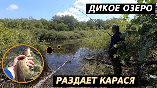 НАШЁЛ ДИКОЕ ОЗЕРО!!! НАЛОВИЛ КАРАСЯ!!Бешеный Клев карася на Поплавок!