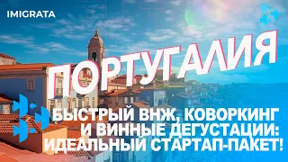 ВНЖ через STARTUP визу Португалии.  Работа с инкубатором. Коворкинги. И как не спиться в процессе!