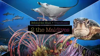 2 the Maledives - Central Atolls 4K I full of marine life! Manta rays, sharks and lots of fish