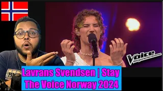 Lavrans Svendsen |  Stay  |  The Voice Norway 2024 | Brasiliansk reaksjon | 🇳🇴 NORWAY REACTION