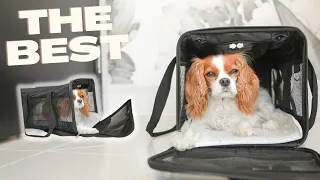 THE BEST TRAVEL CARRIER FOR DOGS // Flying with my dog Pet In Cabin