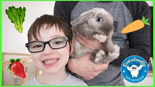 We got a BUNNY! Meet our new rabbit Mr. Moon with Canadoodle Toy Reviews