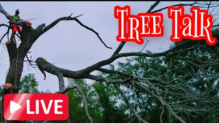 Tree Talk (episode 2)