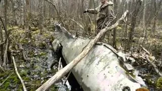 Коп по войне - Война в болотах (часть 2) - "Юнкерс 88" / Searching with Metal Detector