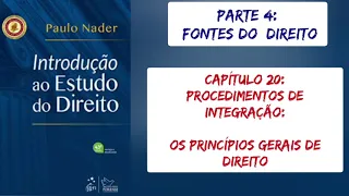 20. PROCEDIMENTOS DE INTEGRAÇÃO: Os Princípios Gerais de Direito