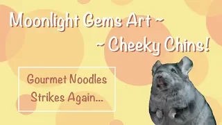 Cheeky Chins - Gourmet Noodles Strikes Again!