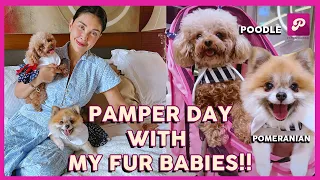 [ENG SUB ] MEET MY FUR BABIES 🐶 +  PAMPER DAY 💅🏻 | POPS FERNANDEZ VLOG