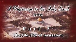 The Old City - Pilgrimage 7